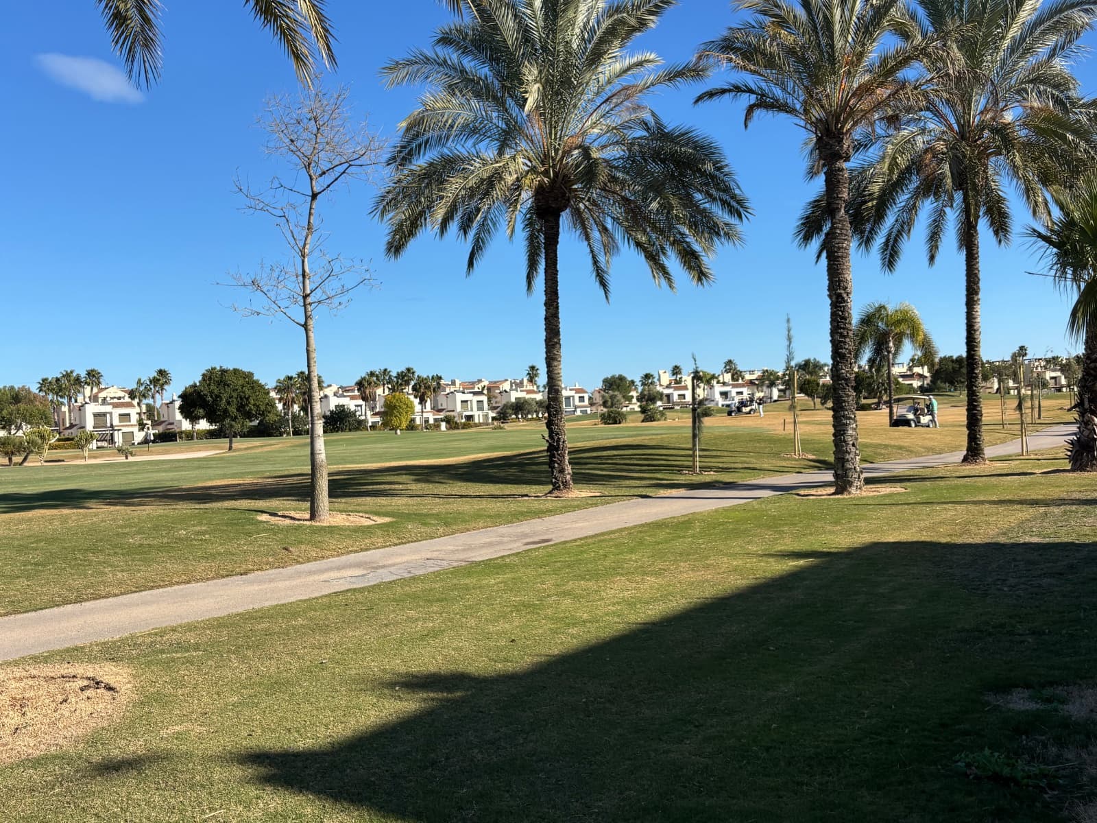 4 makuuhuone Huvila myytävänä paikassa Roda mukana uima-altaan - 629 900 € (Ref: 9419349)