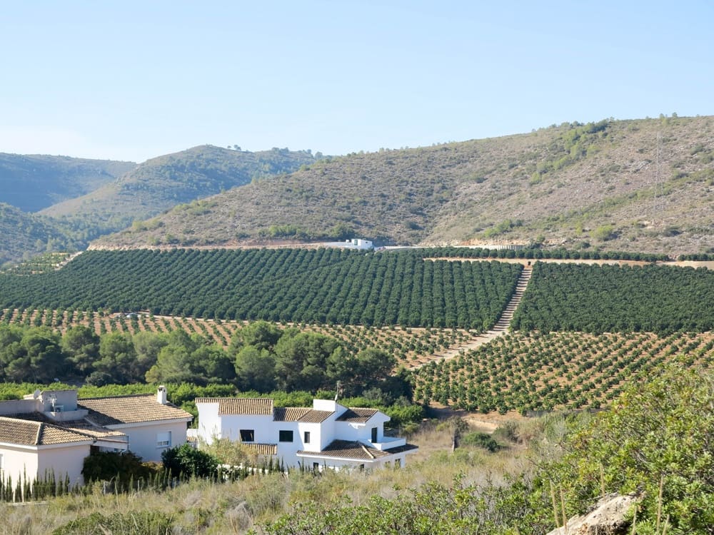 Undeveloped Land for sale in Alberic - € 45,000 (Ref: 3681597)