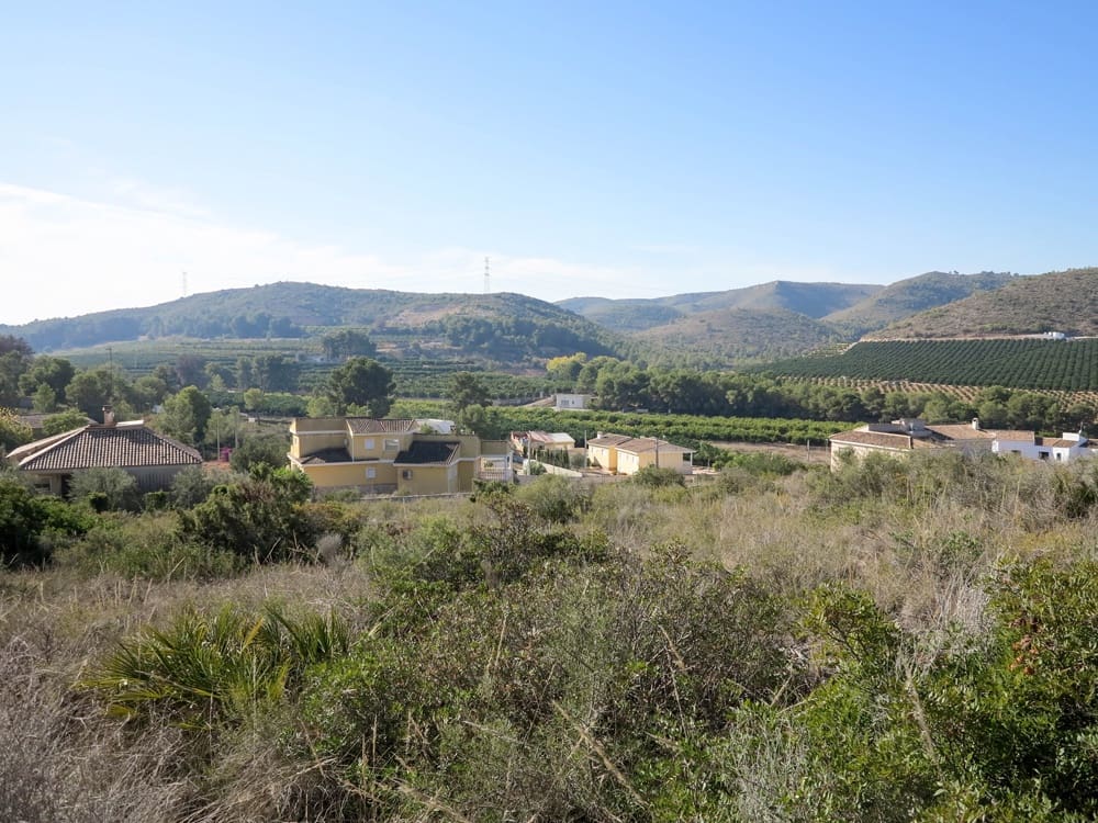 Undeveloped Land for sale in Alberic - € 45,000 (Ref: 3681597)