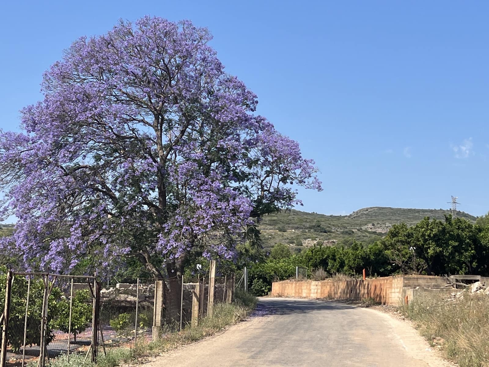 5 soveværelse Finca/Landehus til salg i L'Alcudia med swimmingpool garage - € 550.000 (Ref: 9553241)