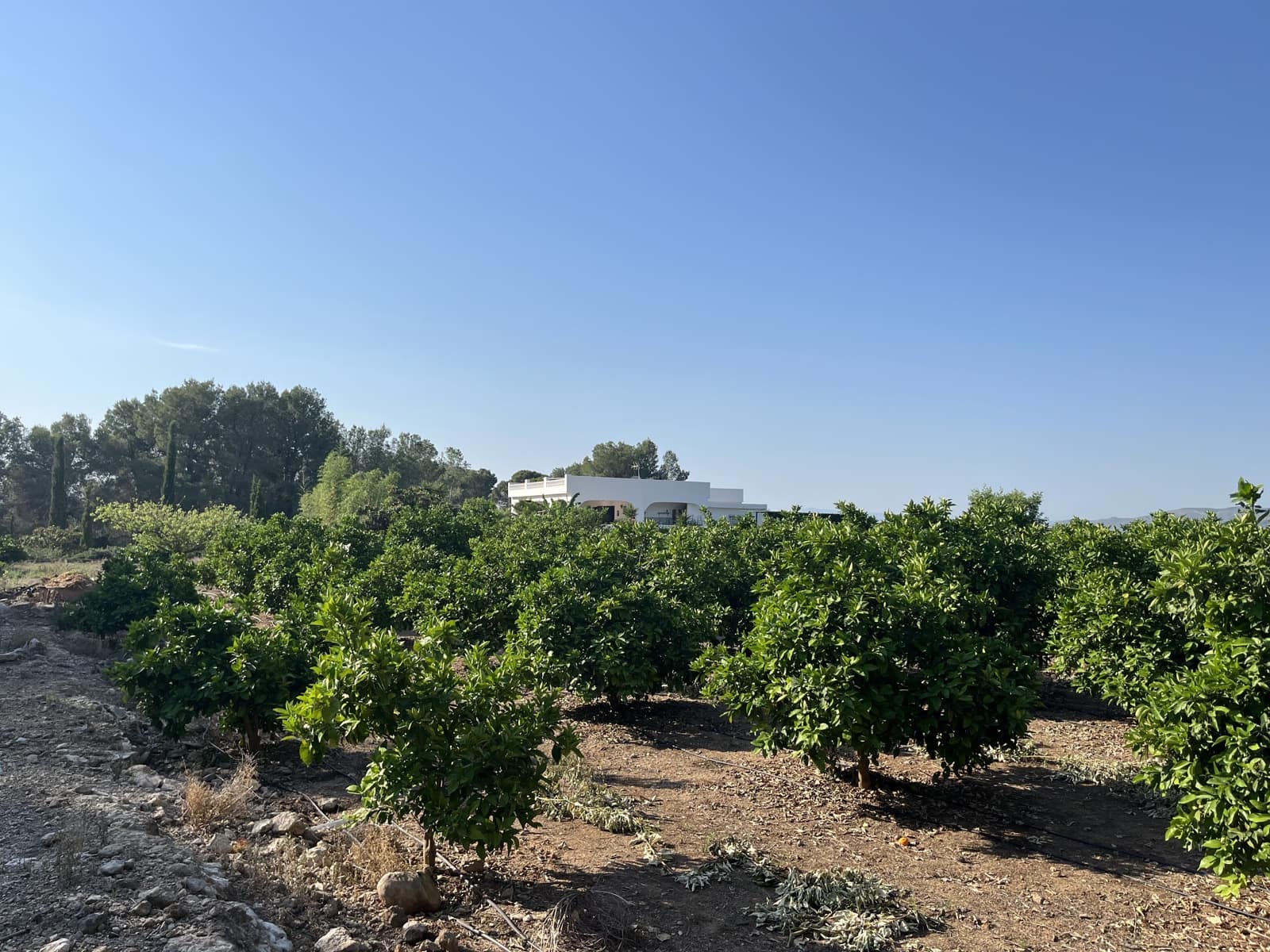 5 soveværelse Finca/Landehus til salg i L'Alcudia med swimmingpool garage - € 550.000 (Ref: 9553241)