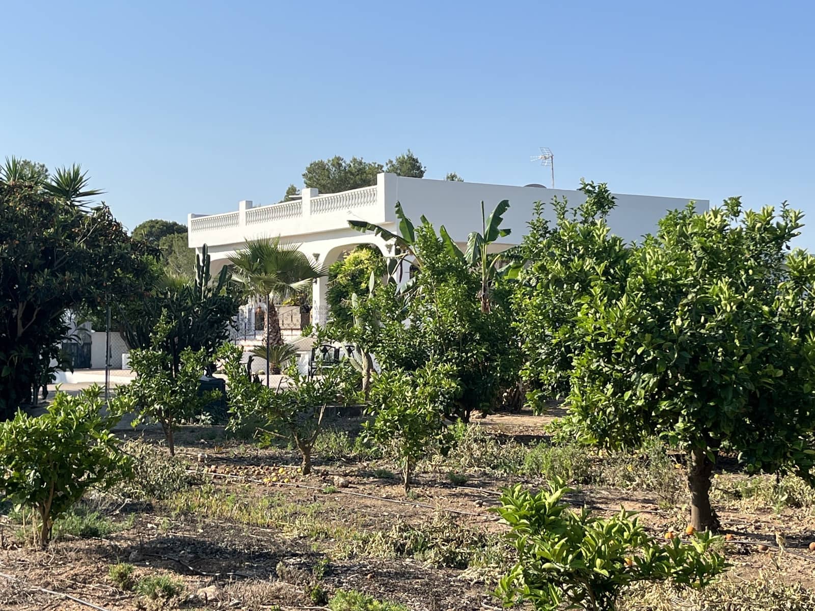 5 soveværelse Finca/Landehus til salg i L'Alcudia med swimmingpool garage - € 550.000 (Ref: 9553241)