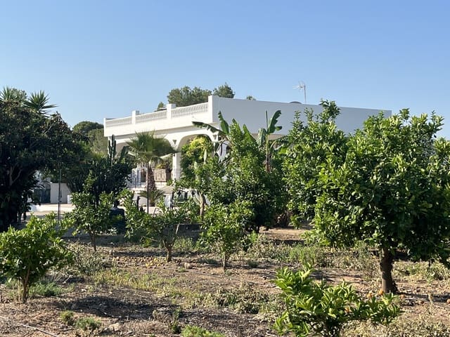 5 camera da letto Finca/Casa di Campagna in vendita in L'Alcúdia con piscina garage - 599.750 € (Rif: 9553241)