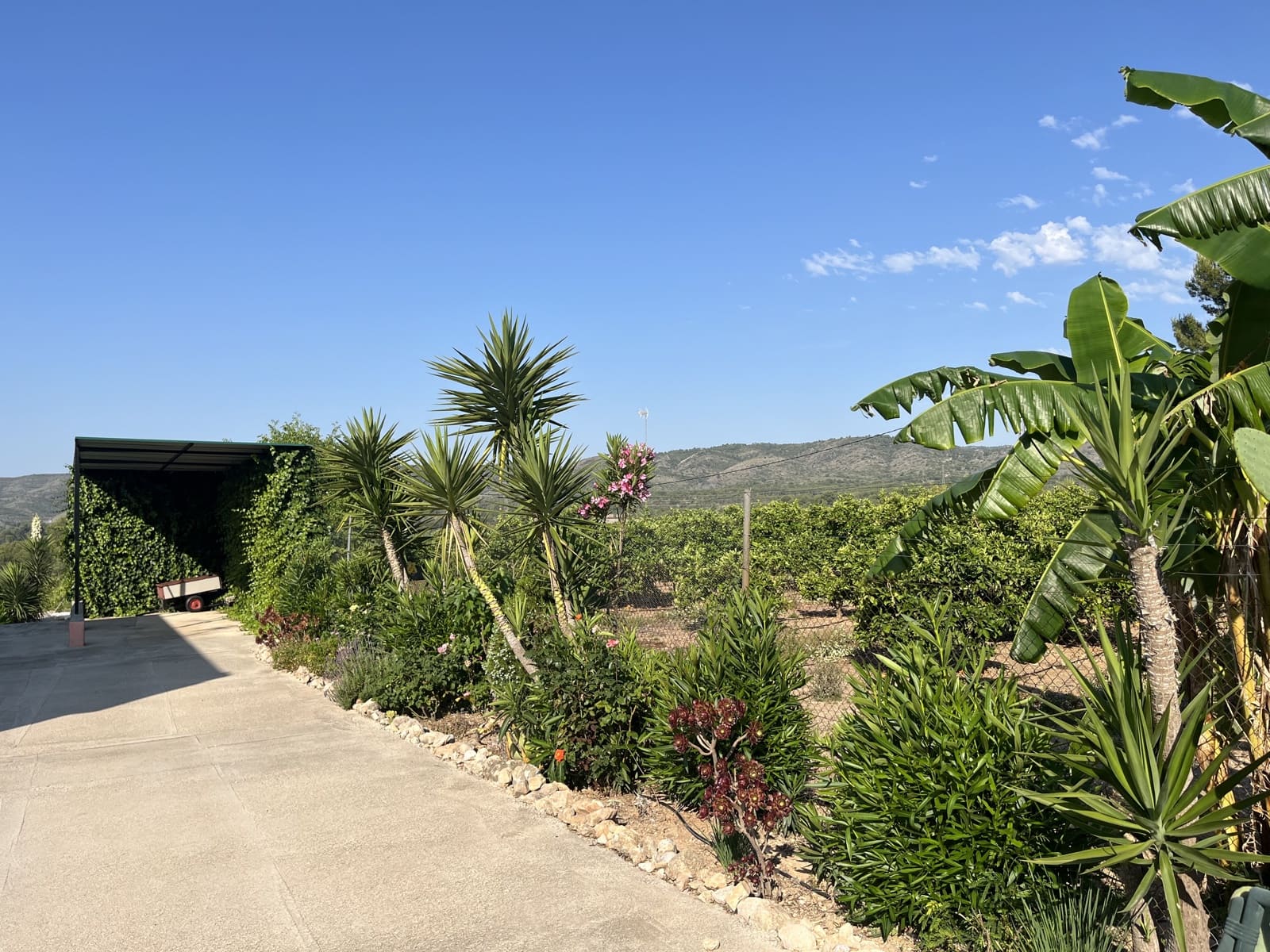 5 soveværelse Finca/Landehus til salg i L'Alcudia med swimmingpool garage - € 550.000 (Ref: 9553241)