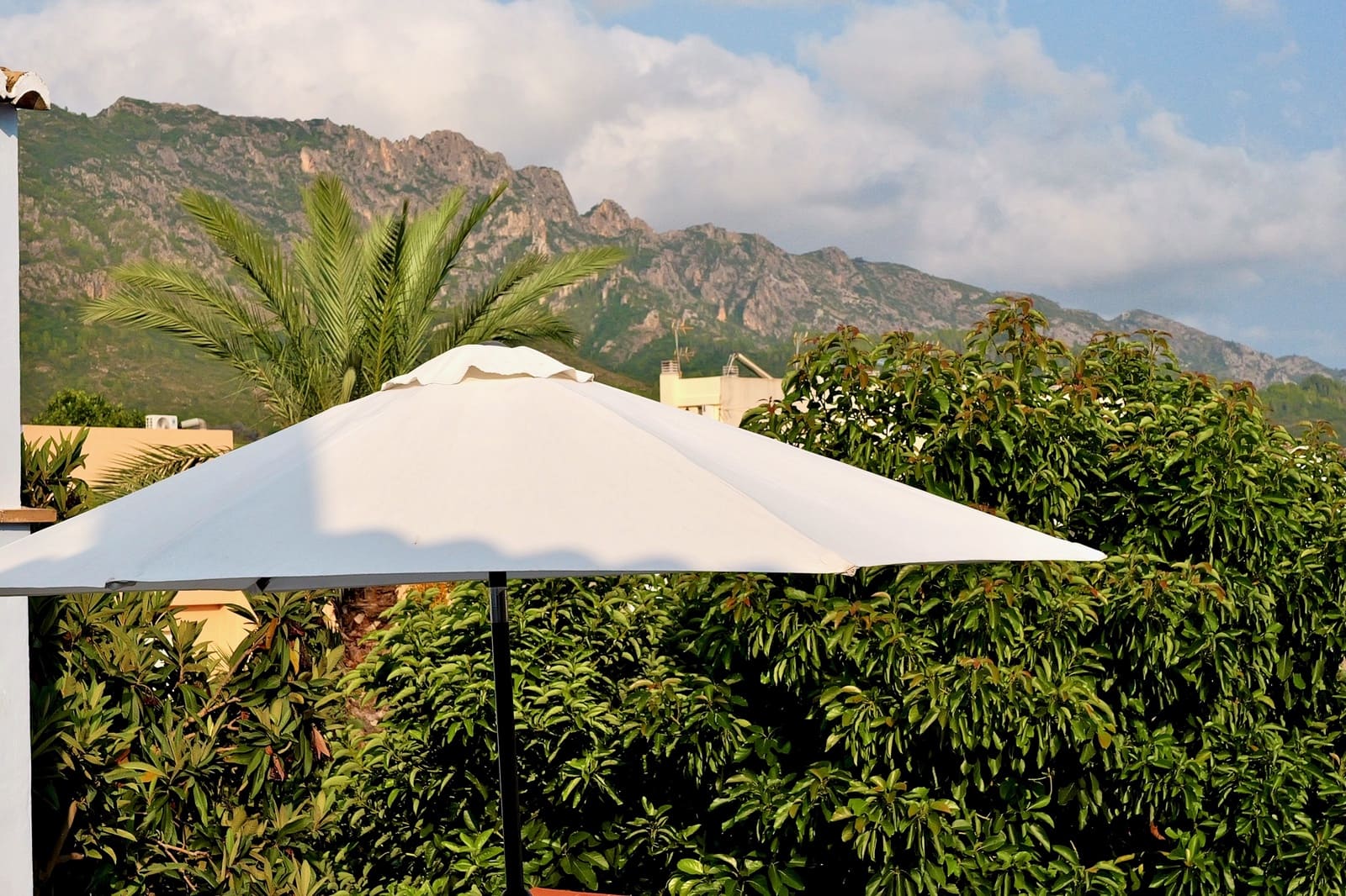 4 soverom Gjestgiveri/B&B til salgs i Alzira med svømmebasseng - € 490 000 (Ref: 9590612)