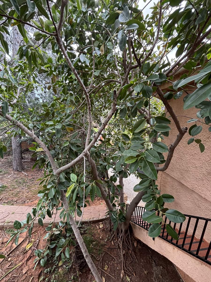 4 slaapkamer Villa te koop in Alberic met zwembad garage - € 270.000 (Ref: 9688539)