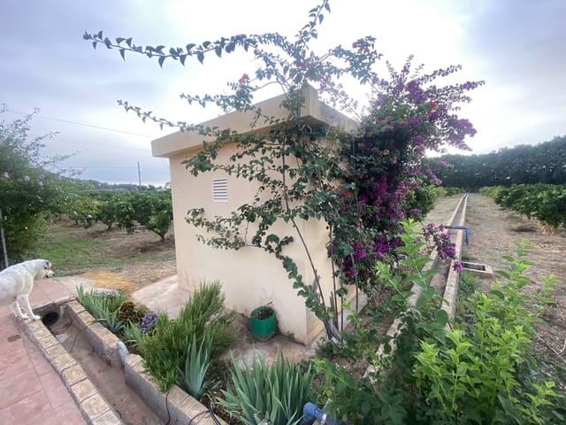 7 Zimmer Finca/Landgut zu verkaufen in Alzira mit Pool Garage - 525.000 € (Ref: 9760104)