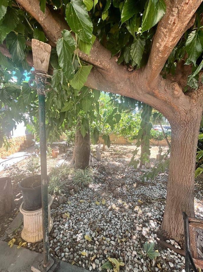 4 chambre Villa/Maison à vendre à Godelleta avec piscine garage - 320 000 € (Ref: 9769098)