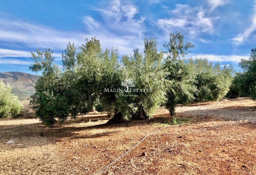 2 bedroom Finca/Country House for sale in Huelma with pool garage - € 158,000 (Ref: 9499816)