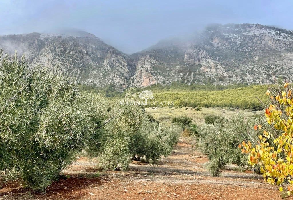 2 bedroom Finca/Country House for sale in Huelma with pool garage - € 158,000 (Ref: 9499816)