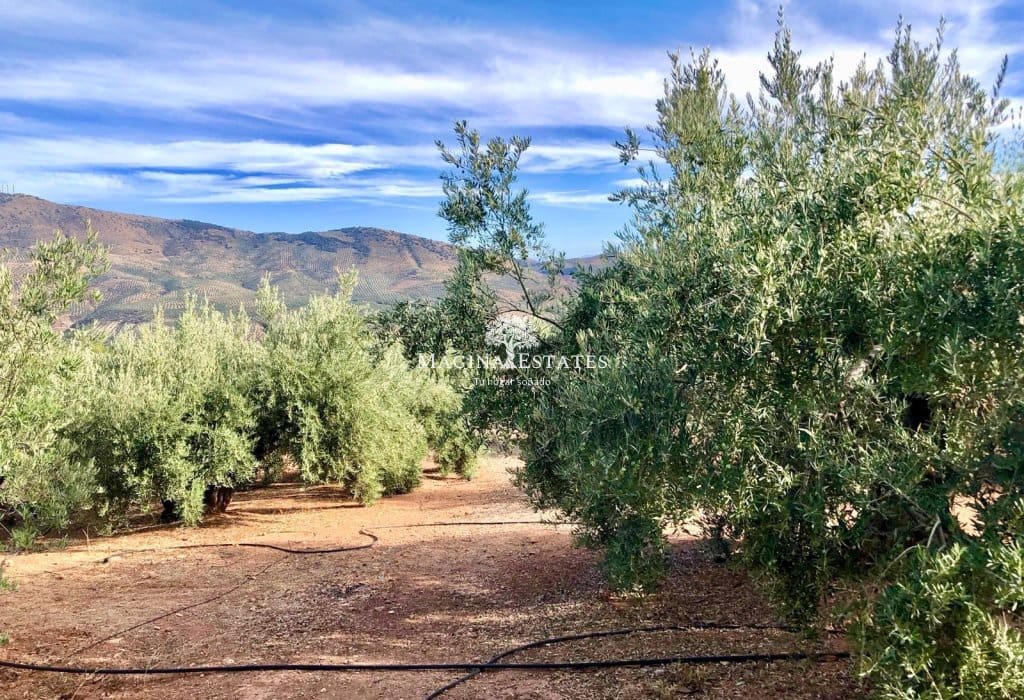 2 bedroom Finca/Country House for sale in Huelma with pool garage - € 158,000 (Ref: 9499816)