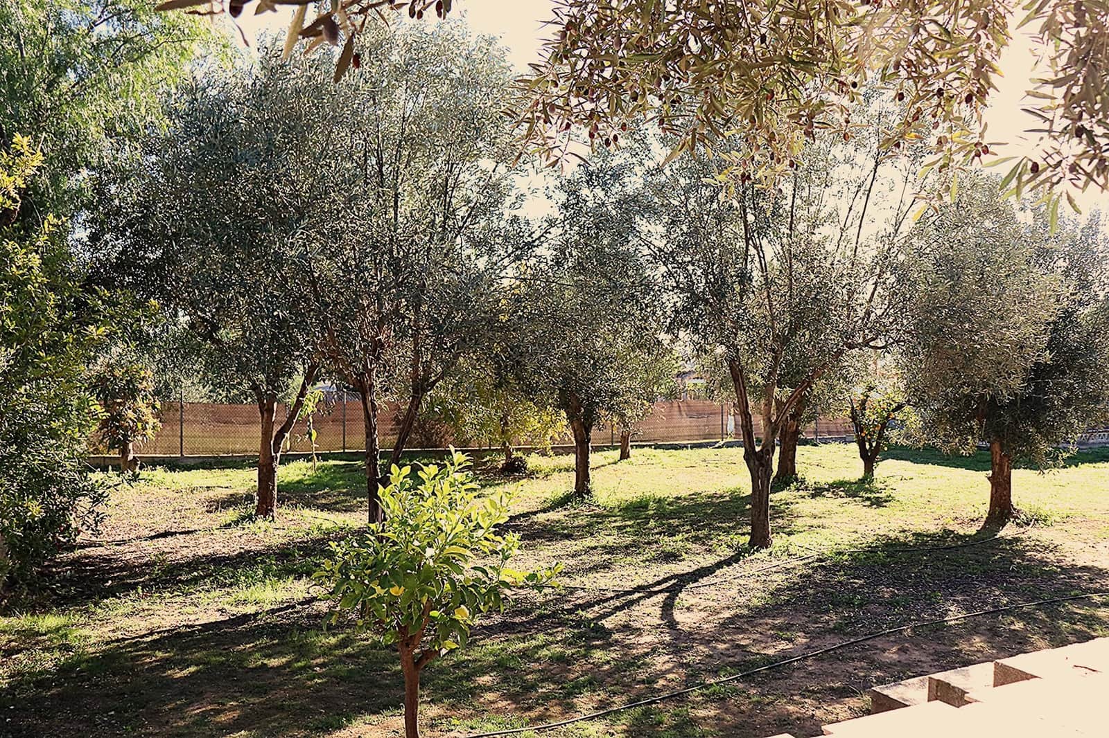 5 slaapkamer Villa te koop in Lliria met zwembad garage - € 280.000 (Ref: 9472278)