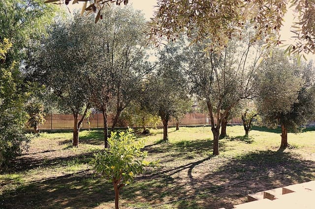 5 slaapkamer Villa te koop in Llíria met zwembad garage - € 280.000 (Ref: 9472278)