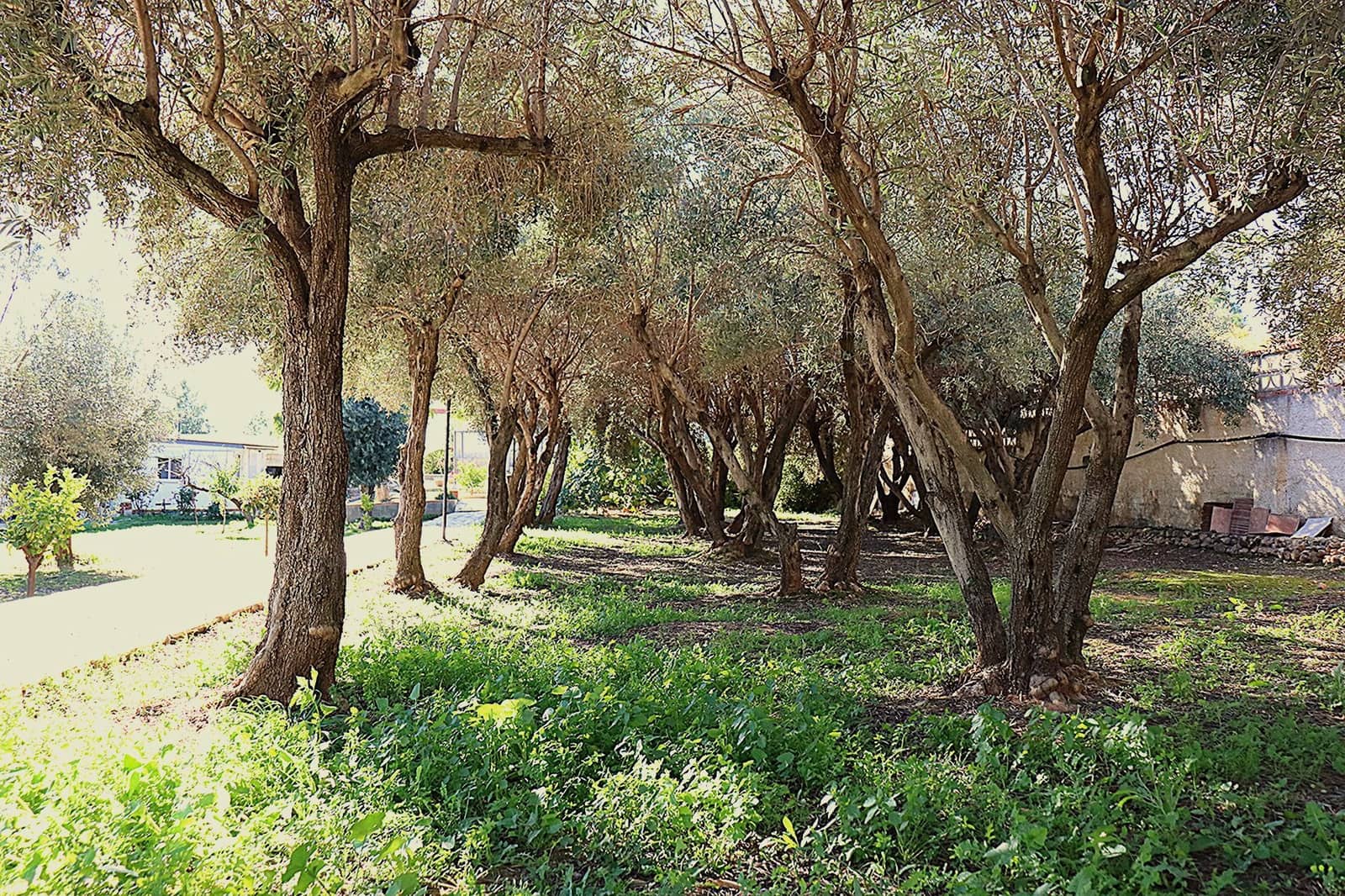 5 slaapkamer Villa te koop in Lliria met zwembad garage - € 280.000 (Ref: 9472278)