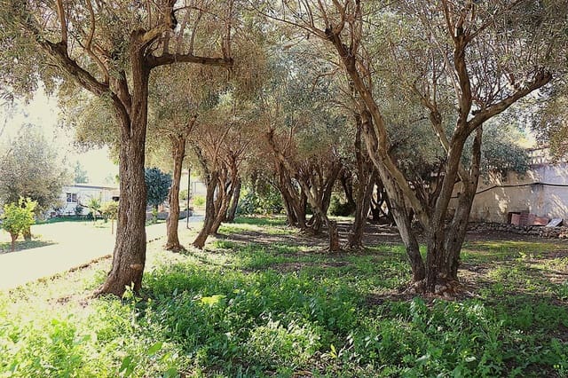 5 slaapkamer Villa te koop in Llíria met zwembad garage - € 280.000 (Ref: 9472278)