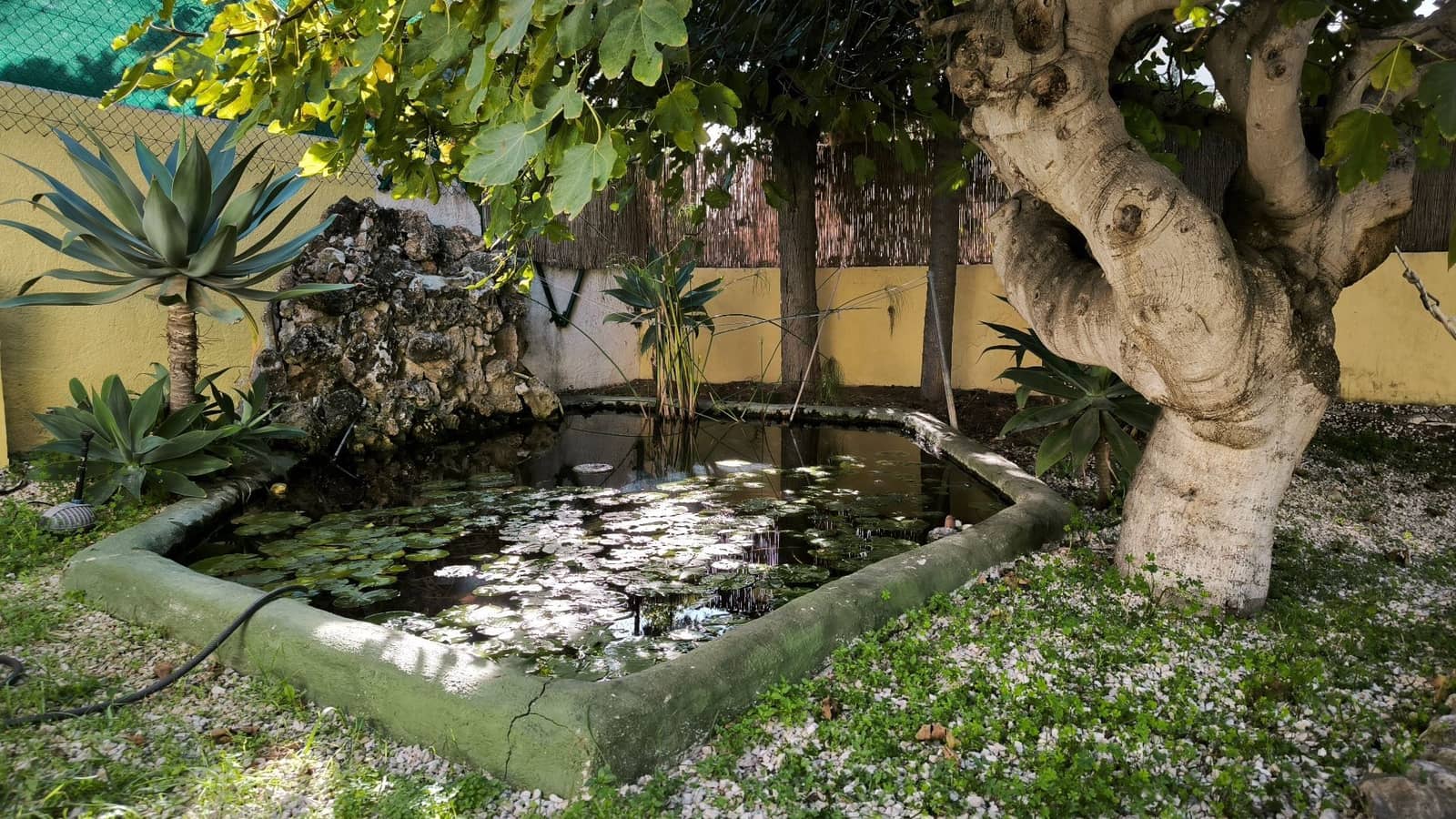 4 soveværelse Villa til salg i Benissa med swimmingpool garage - € 675.000 (Ref: 9472298)