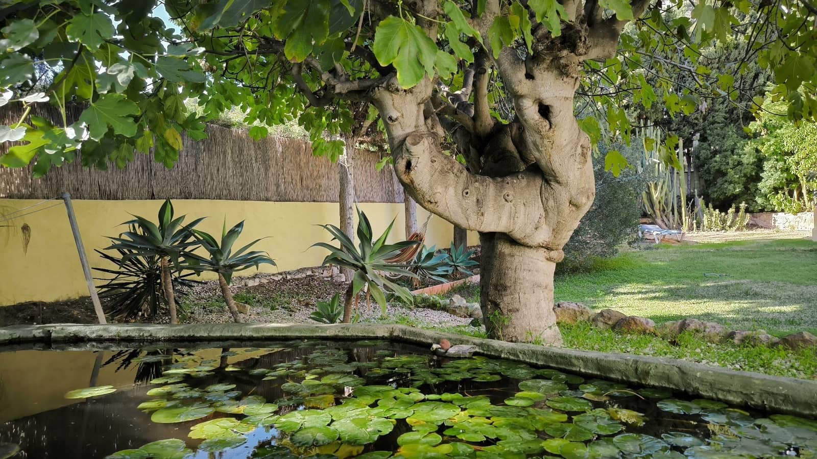 4 soveværelse Villa til salg i Benissa med swimmingpool garage - € 675.000 (Ref: 9472298)