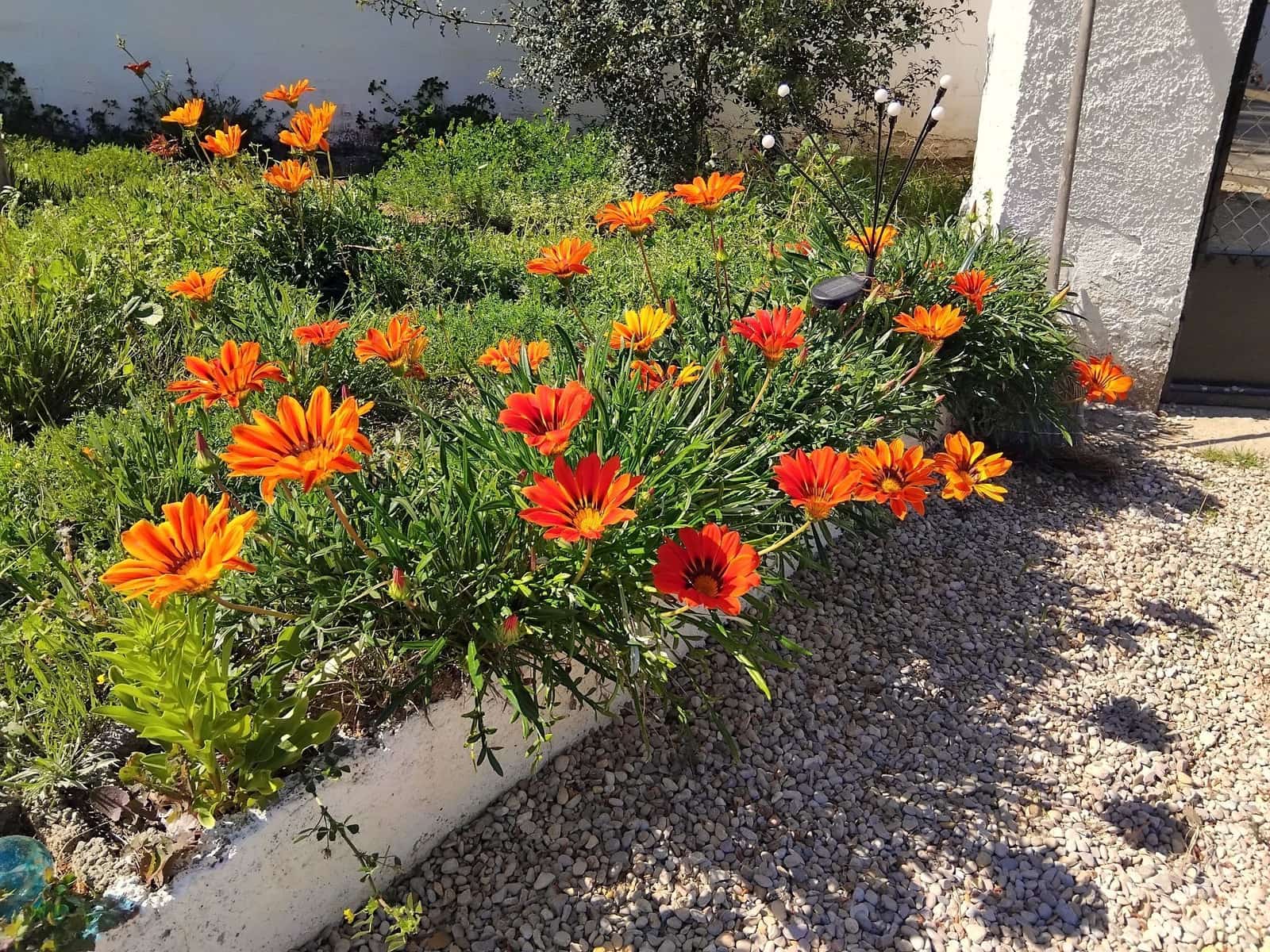 4 bedroom Villa for sale in Vilamarxant / Villamarchante with pool garage - € 219,500 (Ref: 9731679)