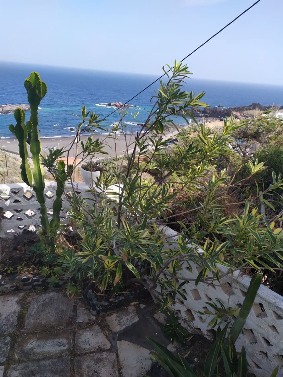 2 makuuhuone Bungalow myytävänä paikassa Brena Baja mukana uima-altaan 
autotalli - 573 000 € (Ref: 9384808)