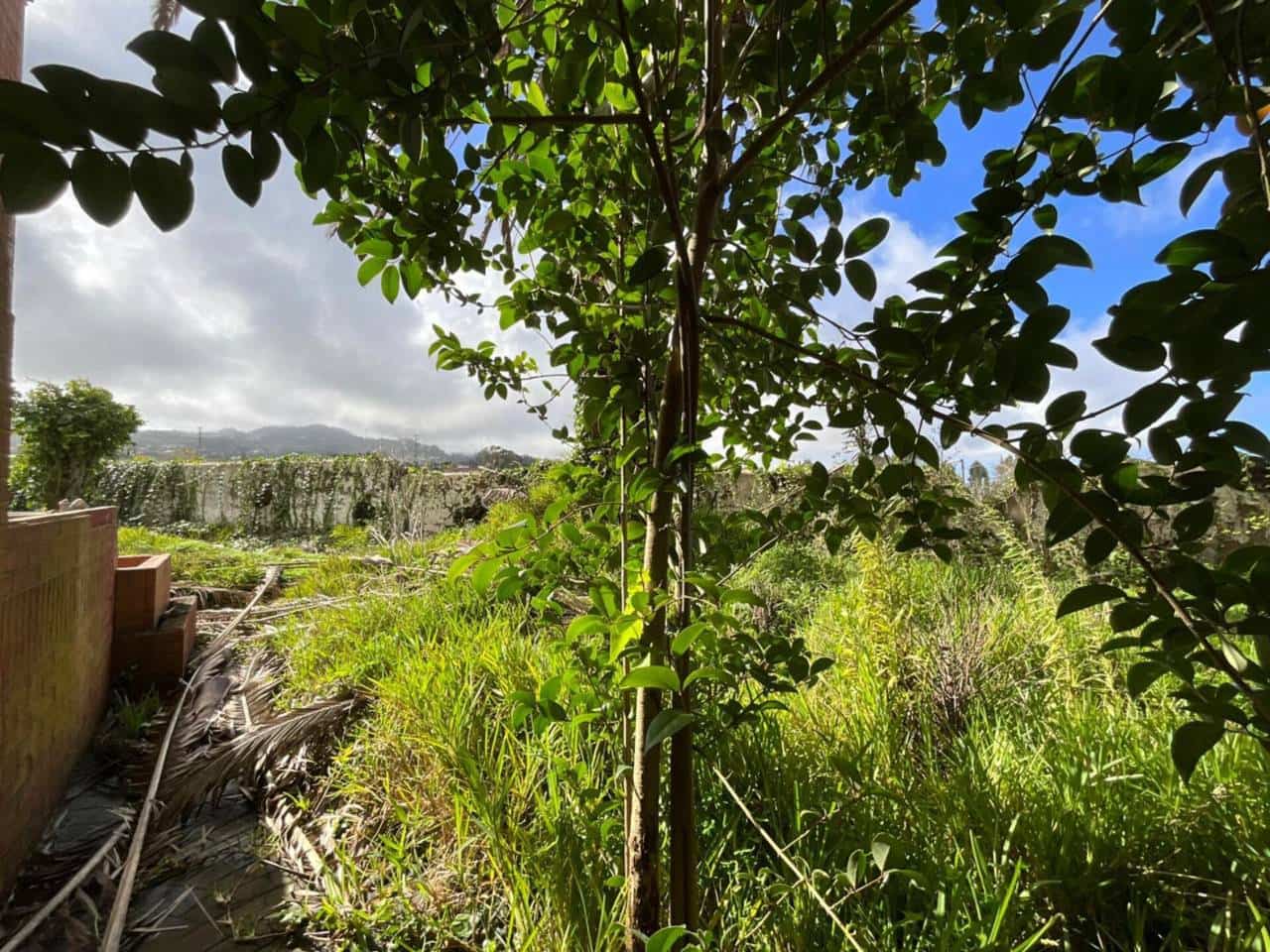 3 bedroom Villa for sale in Los Llanos de Aridane with garage - € 380,000 (Ref: 9460930)