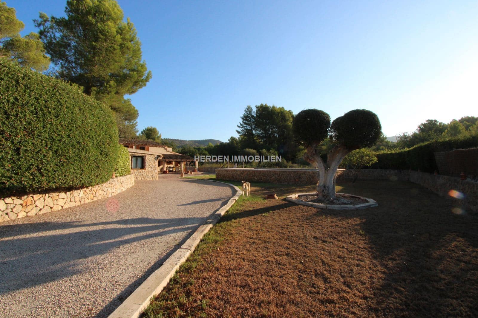 4 soveværelse Finca/Landehus til salg i Calvia med swimmingpool - € 1.995.000 (Ref: 9733918)