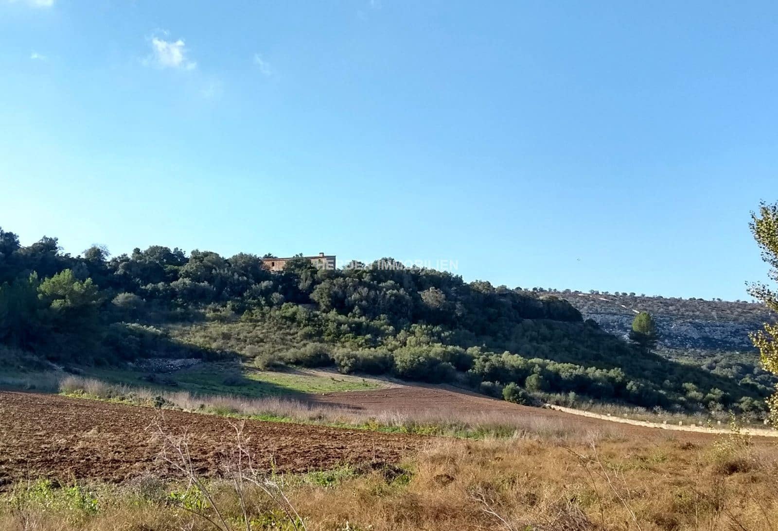 Finka/Dom wiejski na sprzedaż w Manacor - 2 863 000 € (Ref: 9733921)