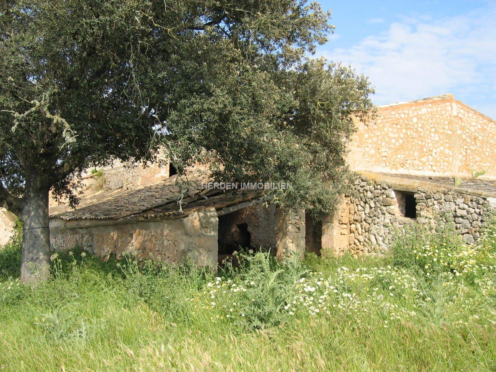 Finka/Dom wiejski na sprzedaż w Manacor - 2 863 000 € (Ref: 9733921)