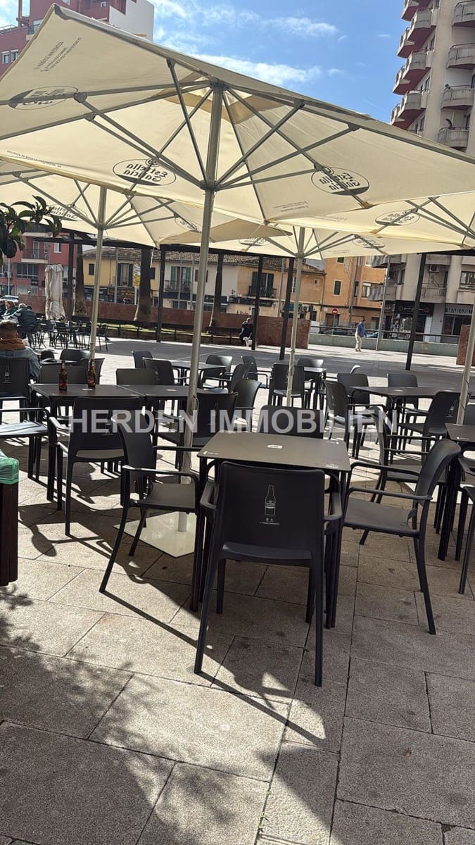 Kaupallinen vuokrattavana paikassa Palma de Mallorca - 2 550 € (Ref: 9734018)