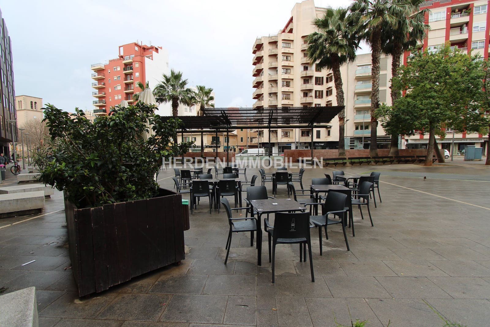 Kaupallinen vuokrattavana paikassa Palma de Mallorca - 2 550 € (Ref: 9734018)