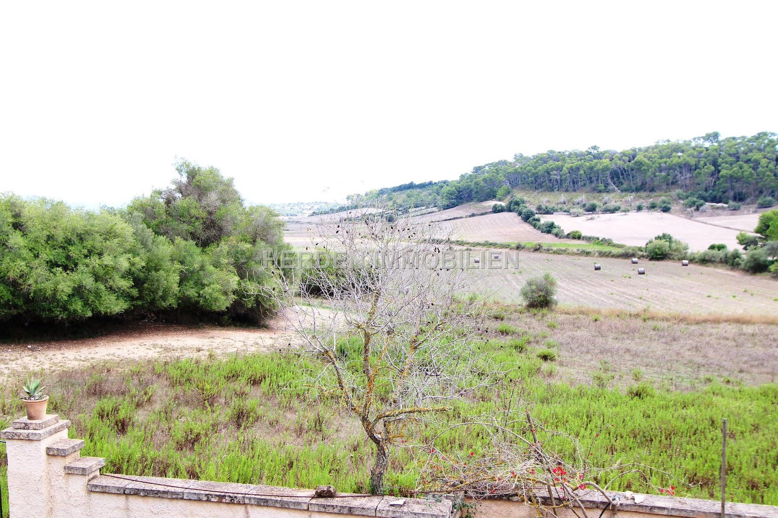 2 bedroom Finca/Country House for sale in Sant Llorenc des Cardassar - € 750,000 (Ref: 9734032)