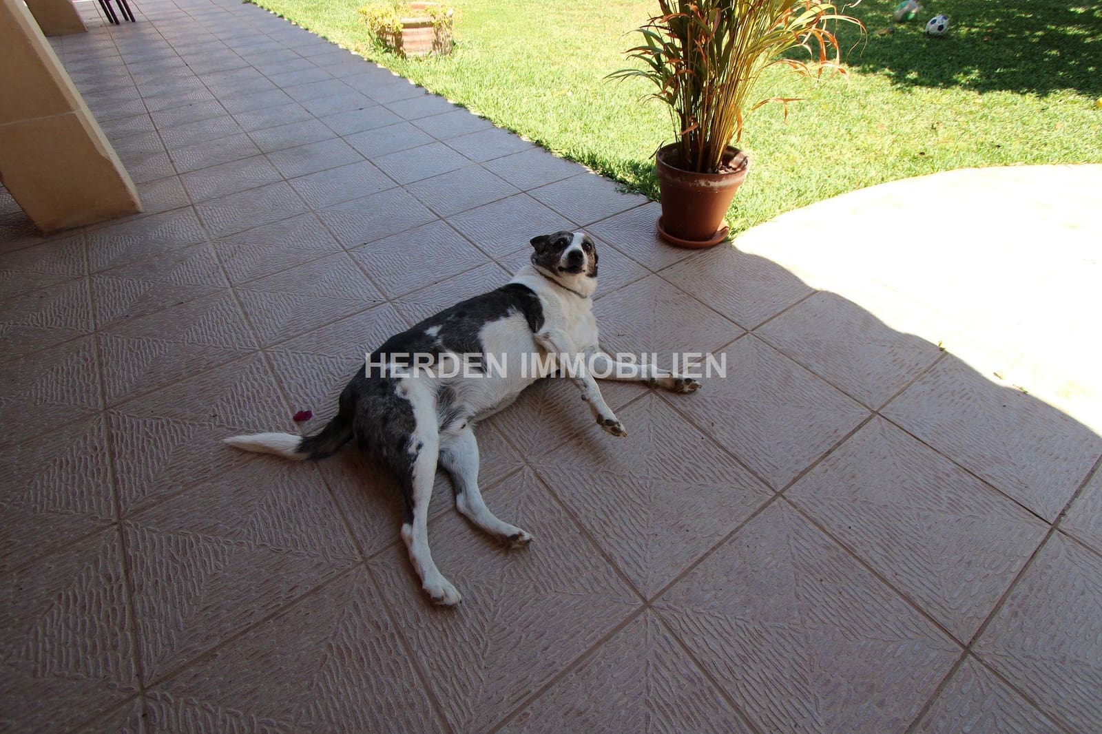 4 camera da letto Casa in vendita in Llucmajor con piscina - 880.000 € (Rif: 9734036)