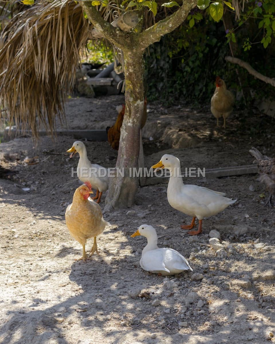 12 quarto Quinta/Casa Rural para venda em Montuiri com piscina - 2 450 000 € (Ref: 9734038)
