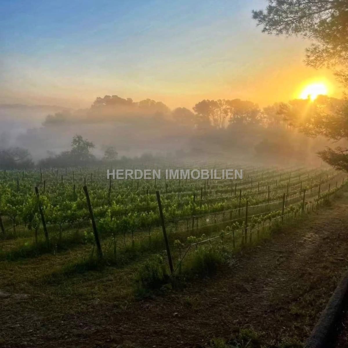 12 quarto Quinta/Casa Rural para venda em Montuiri com piscina - 2 450 000 € (Ref: 9734038)