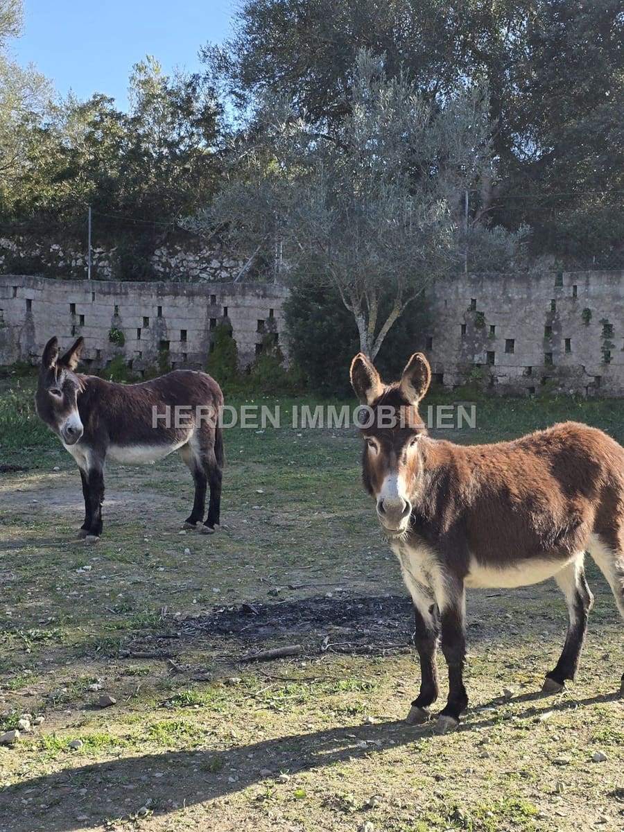 12 quarto Quinta/Casa Rural para venda em Montuiri com piscina - 2 450 000 € (Ref: 9734038)