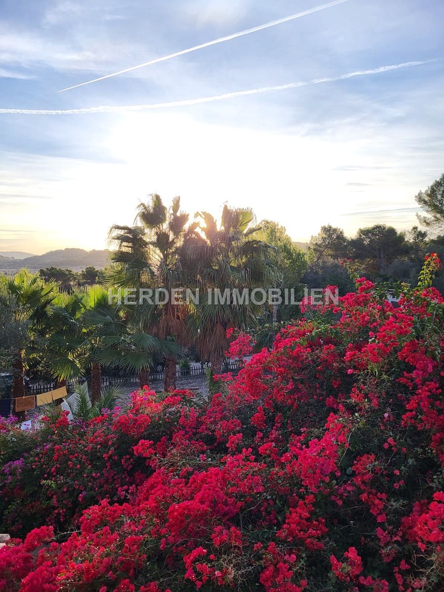 12 quarto Quinta/Casa Rural para venda em Montuiri com piscina - 2 450 000 € (Ref: 9734038)