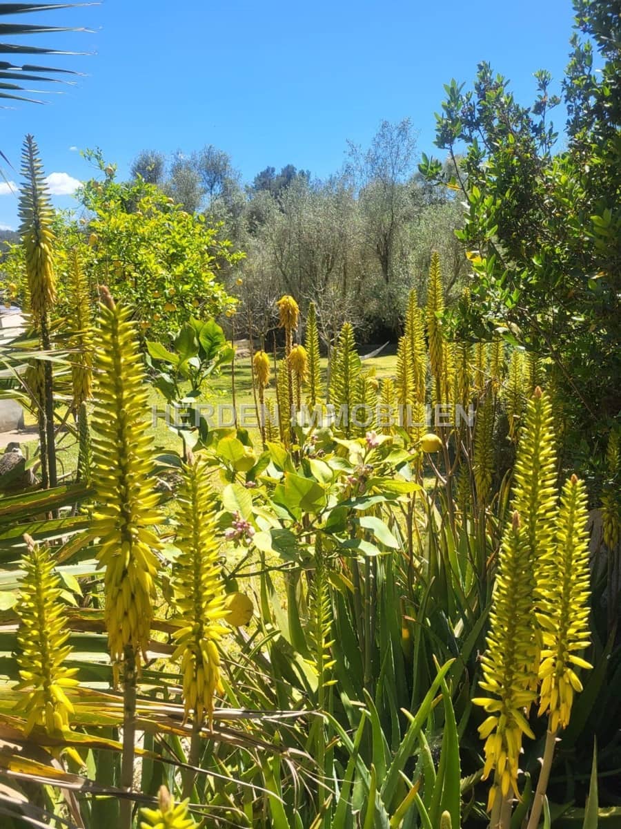 12 quarto Quinta/Casa Rural para venda em Montuiri com piscina - 2 450 000 € (Ref: 9734038)