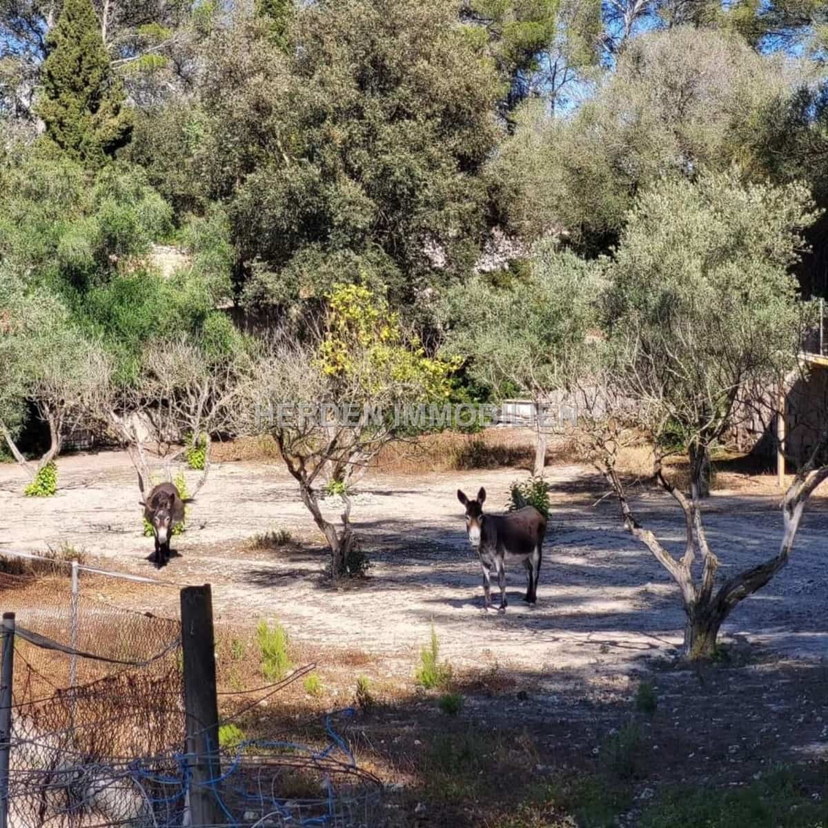 12 quarto Quinta/Casa Rural para venda em Montuiri com piscina - 2 450 000 € (Ref: 9734038)