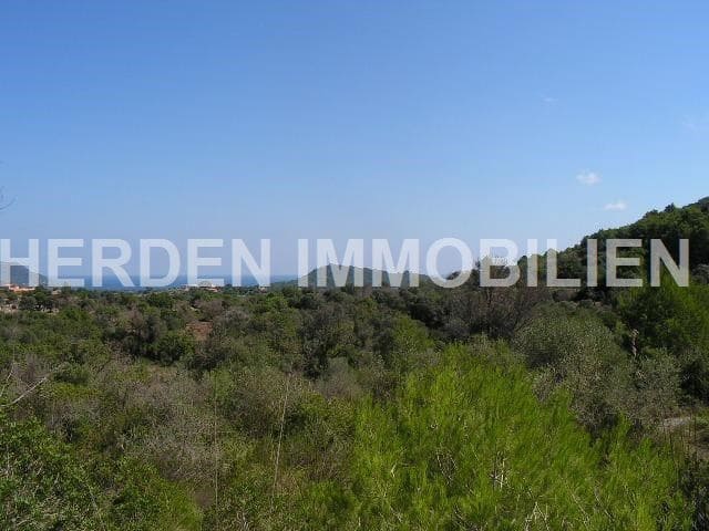 Undeveloped Land for sale in Son Servera - € 99,000 (Ref: 9734041)