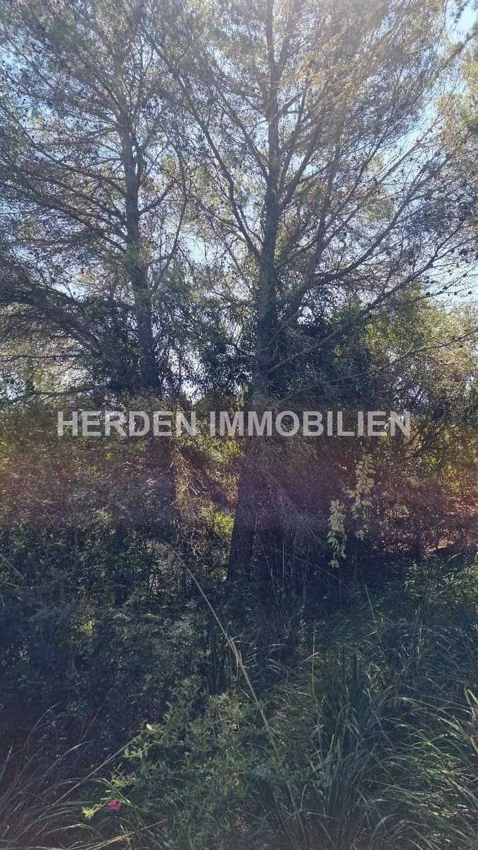 Undeveloped Land for sale in Son Servera - € 99,000 (Ref: 9734041)