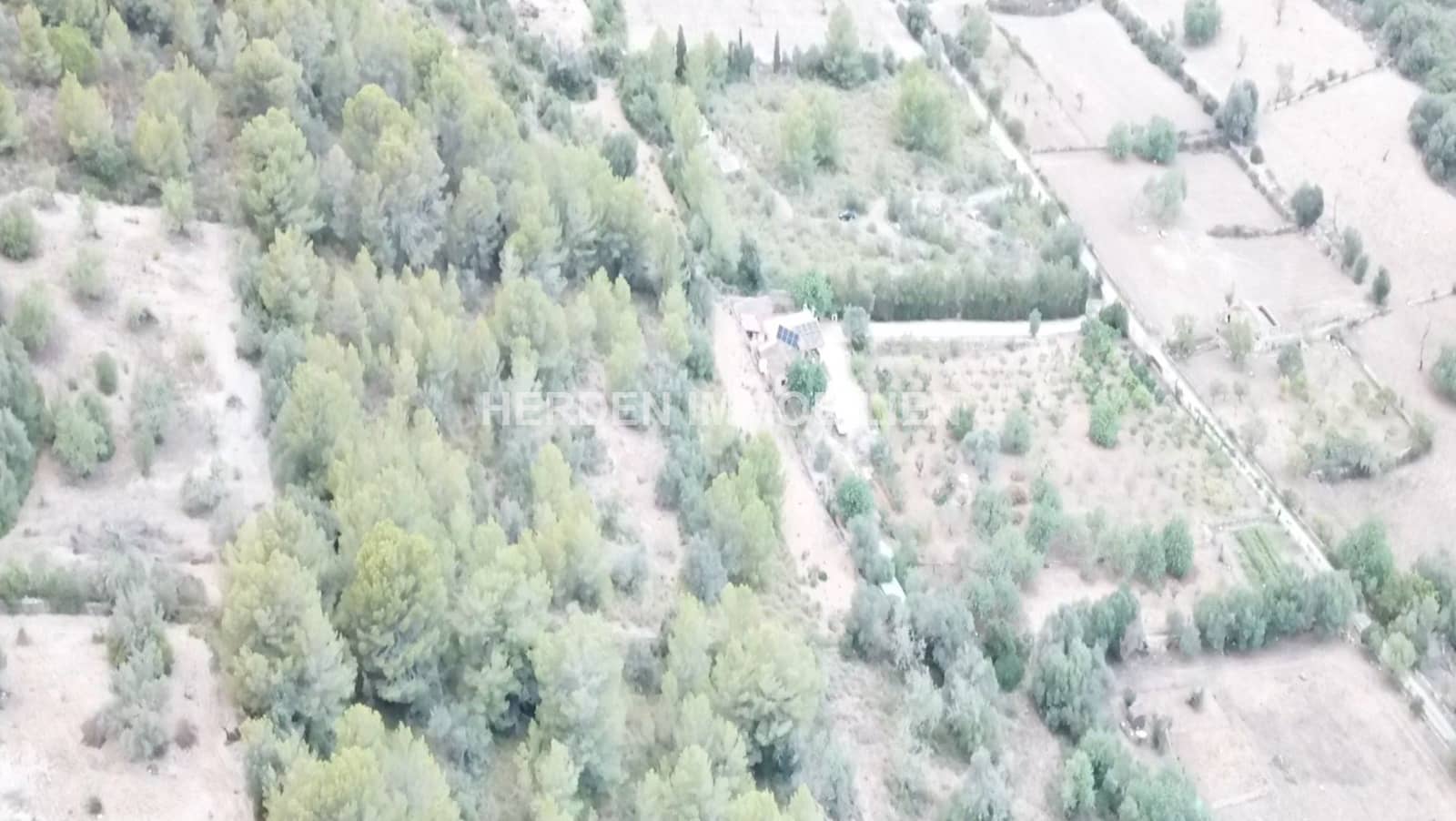 Undeveloped Land for sale in Son Servera - € 99,000 (Ref: 9734041)