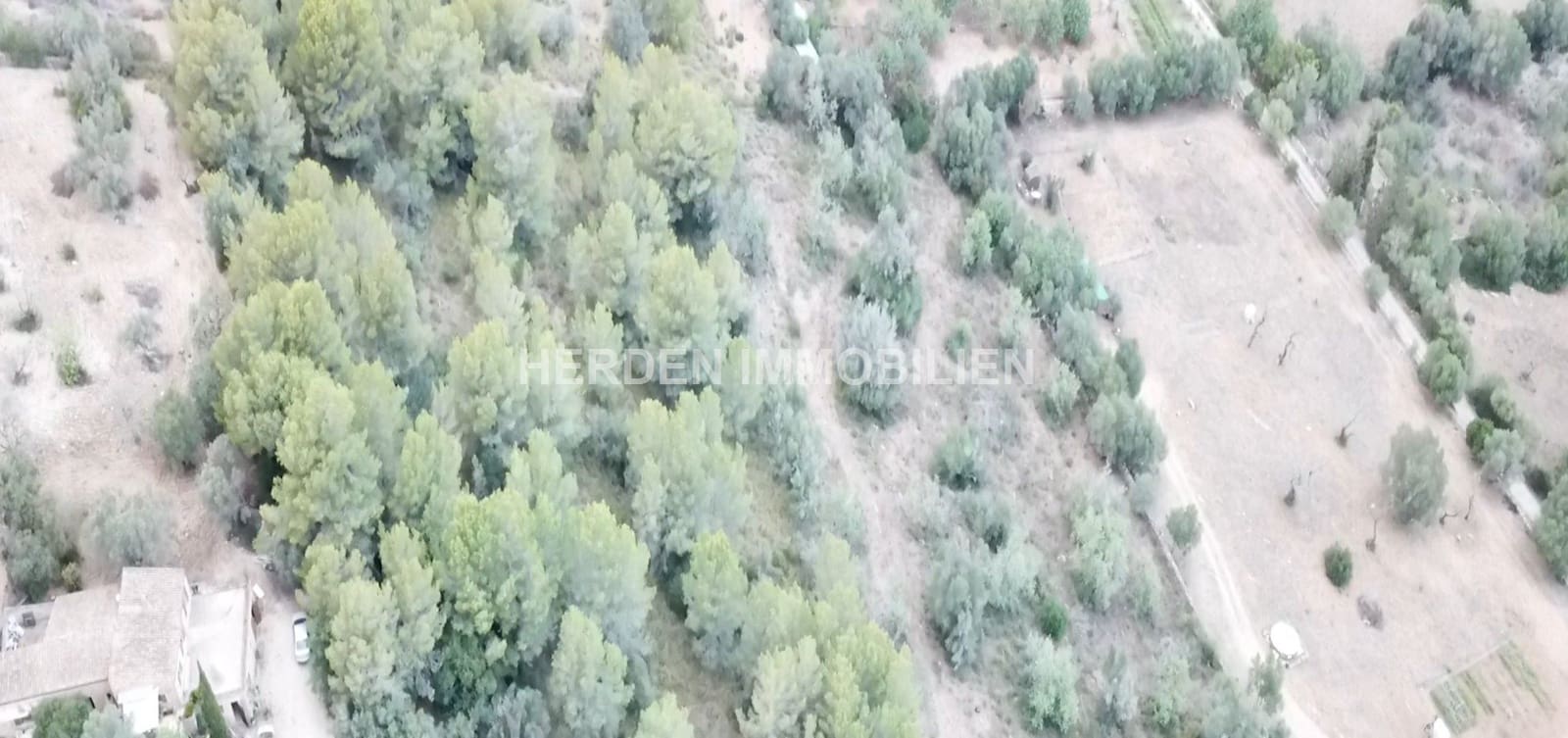 Undeveloped Land for sale in Son Servera - € 99,000 (Ref: 9734041)