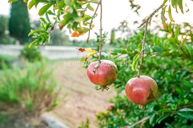 Finca/Country House for sale in Muro - € 300,000 (Ref: 9734043)