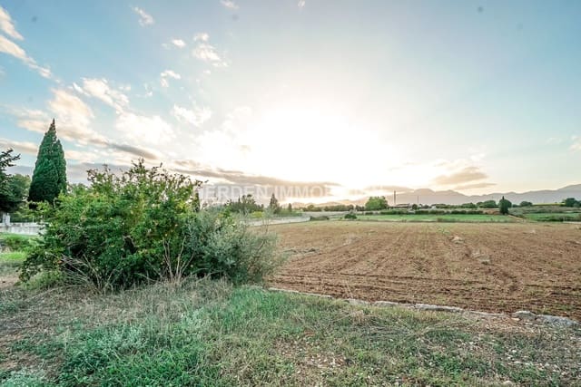 Finca/Country House for sale in Muro - € 300,000 (Ref: 9734043)