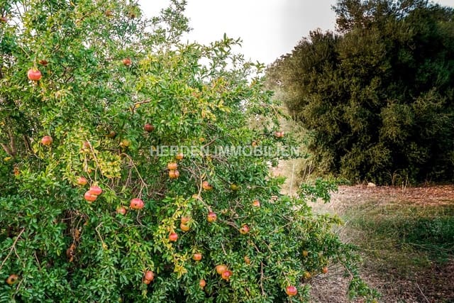 Finca/Country House for sale in Muro - € 300,000 (Ref: 9734043)