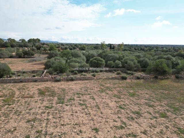 Terreno para Construção para venda em Llucmajor - 650 000 € (Ref: 9734044)