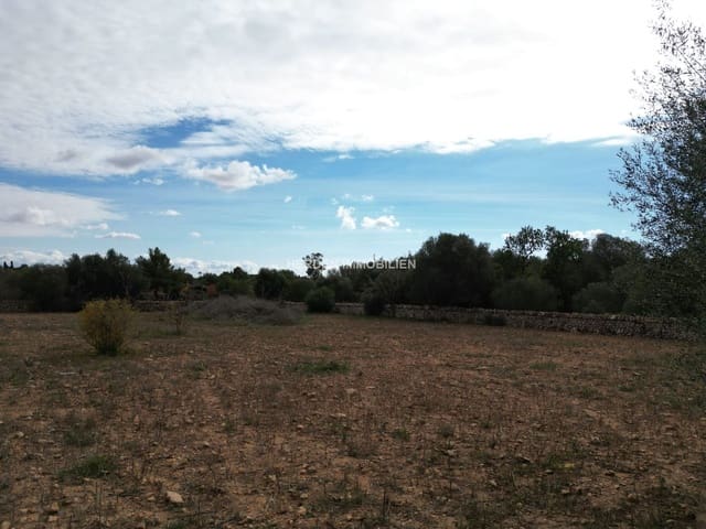 Terreno para Construção para venda em Llucmajor - 650 000 € (Ref: 9734044)