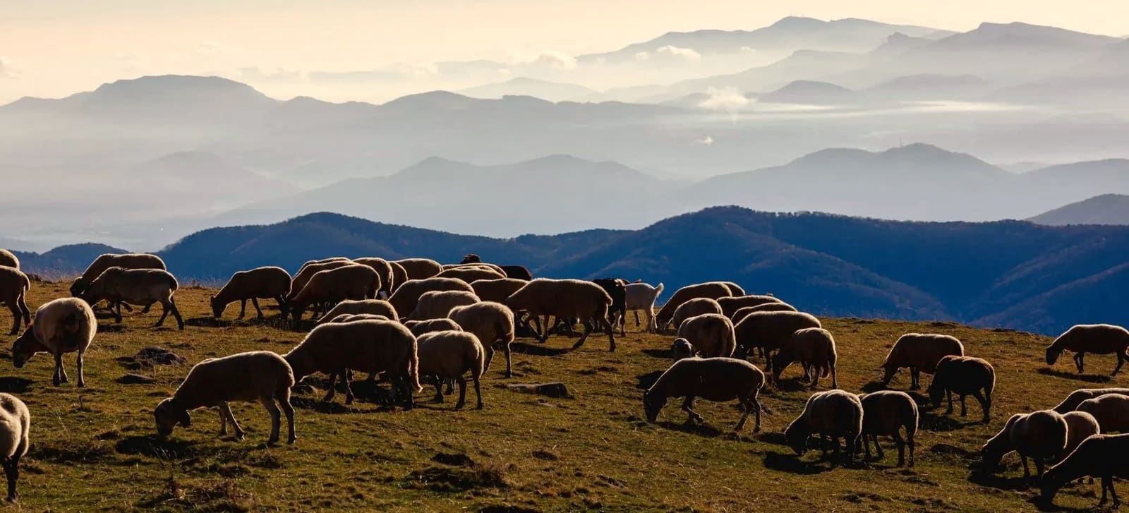 Bauplatz zu verkaufen in Ogassa - 295.000 € (Ref: 9583444)