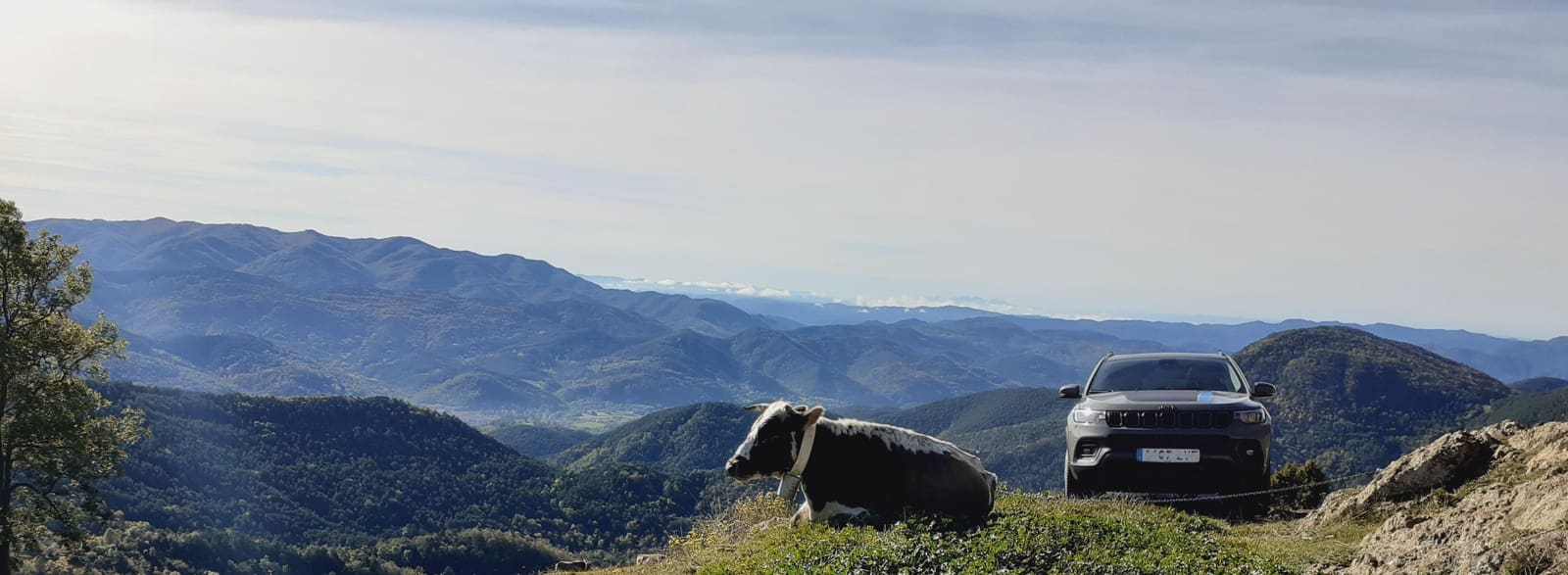 Bauplatz zu verkaufen in Ogassa - 295.000 € (Ref: 9583444)