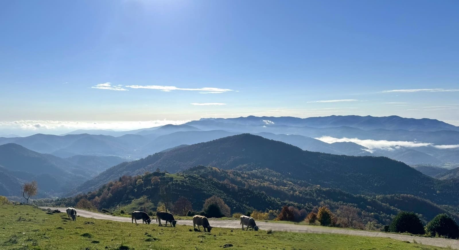 Bauplatz zu verkaufen in Ogassa - 295.000 € (Ref: 9583444)