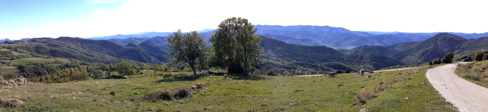 Bauplatz zu verkaufen in Ogassa - 295.000 € (Ref: 9583444)